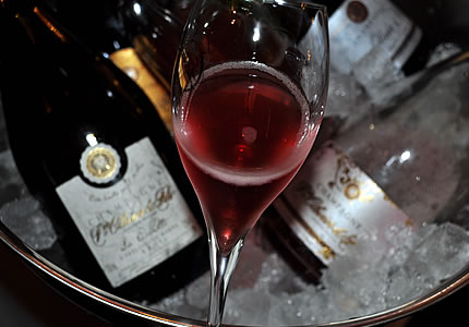 Von der Cote de Bar bis zur Montagne de Reims: Die Champagner der Winzer