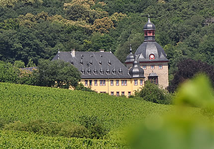 Zu Besuch auf Schloss Vollrads